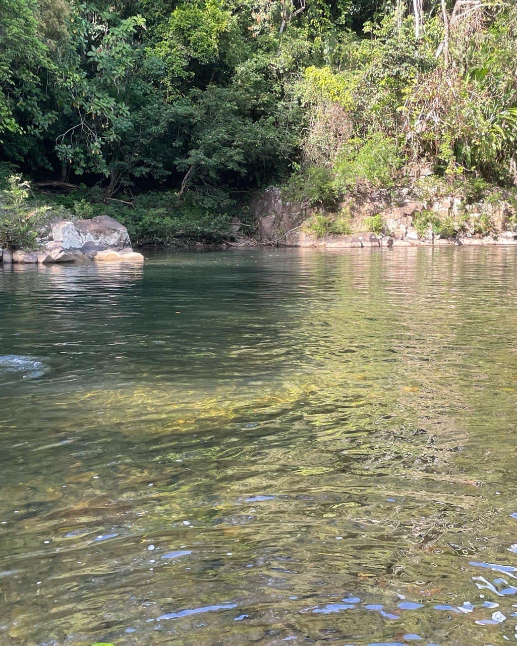 Caño de San Miguel